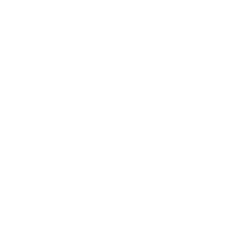 動画を再生する